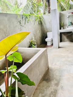 Blue Mountains View - 1