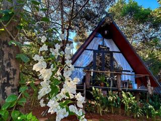 Bungalow - - 1