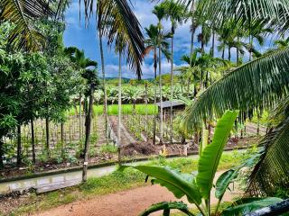 Blue Mountains View - Dambulla - 6