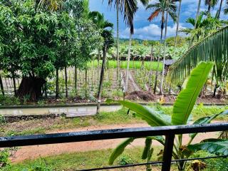 Blue Mountains View - Dambulla - 1