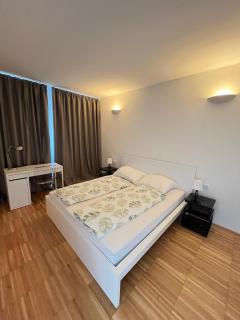 Modernes Apartment in der Innenstadt Klagenfurt - 0