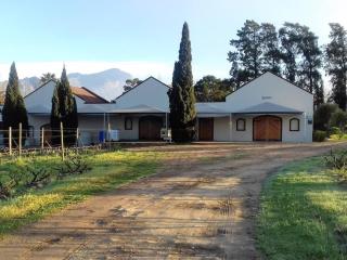 Lemberg Wine Estate - 9