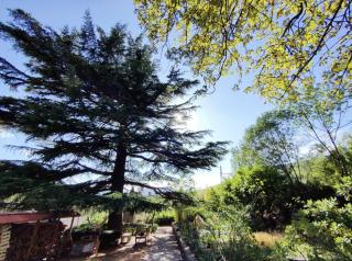 villa marguerite - Lunas - 9