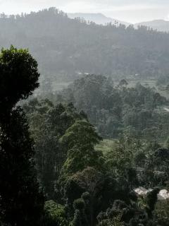 Sapugolla Family Resort - 4