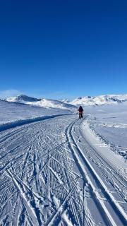 Stylish 4-Bedroom Apartment with Mountain Views! - 5