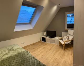 Ferienhaus Green Emotion - Suhl - 1