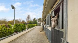 Luxury house - 4P Versailles - 5