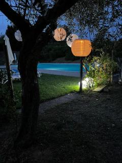Agriturismo LA CERBANA - Palaia - 9