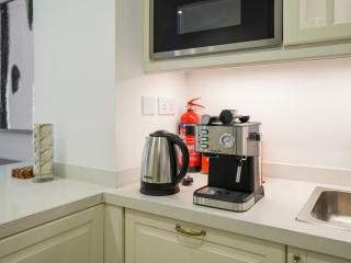 Brand New Beautiful & HUGE Centrally Located APT - 3
