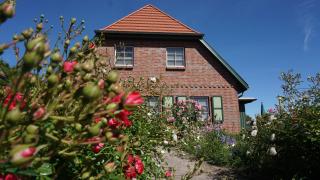 Atelierwohnung Götze - Ahrenshoop - 6