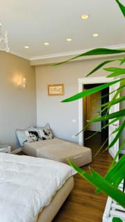 Apartamentul din Valea Trandafirilor - 7