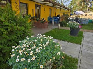 Kleiner Bungalow Wiesenperle - Trassenheide - 7