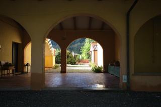 Agriturismo LA CERBANA - Palaia - 2