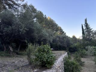 Le Cabanon d'Elie - 5