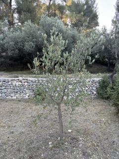 Le Cabanon d'Elie - 4