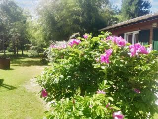 Chalet charmant à Presles-et-Boves avec terrasse et jardin - Presles-et-Boves - 3