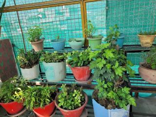 BITS CAMPUs - Varanasi - 3