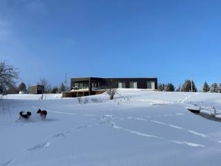 Lakefront Modern Cottage 25 mins to Blue Mountain - Duntroon - 7