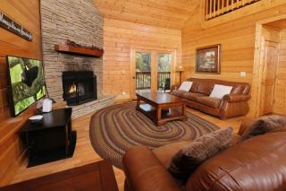 Bears Lair - Pittman Center - 4