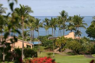 Wailea Oceanfront Rental - Wailea - 9