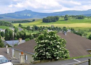 "L'Abri" massif du Mézenc - Saint-Front - 9