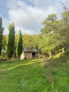 La bastide de Marie - Larroque - 7