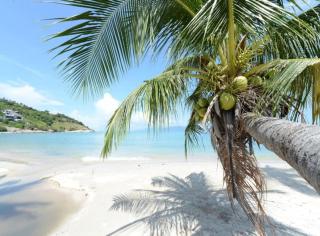 4 Bedroom Seaview Villa on Beachfront resort TG48-SDV288 By Samui Dream Villas - Amphoe Koksamui - 1