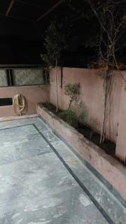 Shally Valley Guest House - 6