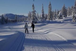 Modern Lakeside Cabins Jacuzzi and Sauna Up To 18 People - Vradal - 3