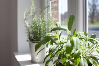 Ferienhaus Brise - 6