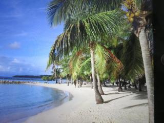 CLUB MARINE 19 - Plage Ste Anne accès direct, vue mer, piscine, parking - Sainte-Anne - 0