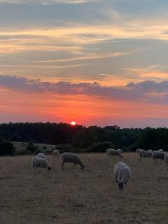 Sunset Cottage - Warwick - 1