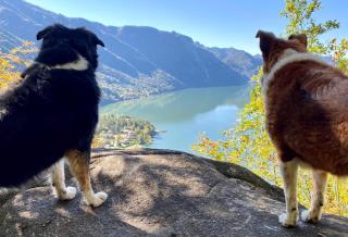 Casa Claudia, a due passi da lago e spiaggia - Vesta - 1