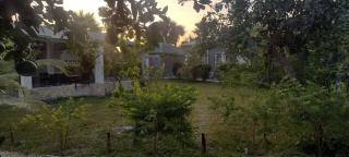 Unique Owl Apartments - 1