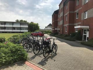 Inselzeit - Borkum - 8