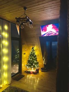 Vista cottage - Kasbegi - 7