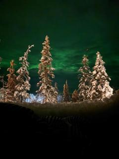 Lights of Lapland Resort - Posio - 0