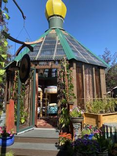 Billie's Backpackers Hostel - 2