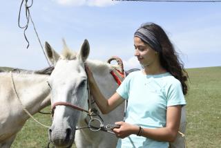 Nomad Equestrian Stable - 3