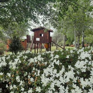 Swallowtail Country Estate - 2