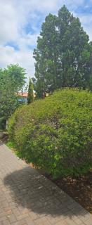 Nature's Retreat - Willowdene - 6