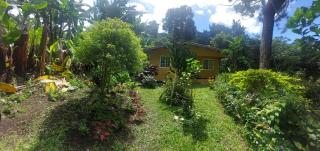 El refugio del viajero - Bajo Boquete - 4