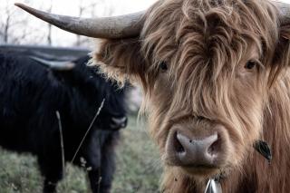 Agricamping La Meyra - 3