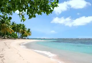 Bungalow charmant à Bouillante avec terrasse privée - 9