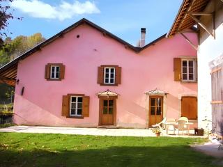 Maison charmante à Chirens avec jardin clôturé - Chirens - 6