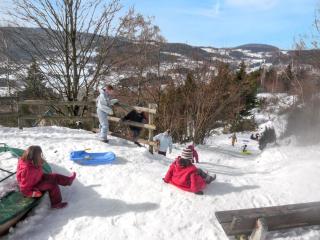 Chalet charmant au Tholy avec piscine partagée - 1