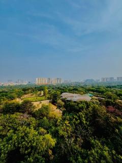 Parkview Escape 1BHK Penthouse In Kondapur - Haiderabad - 8