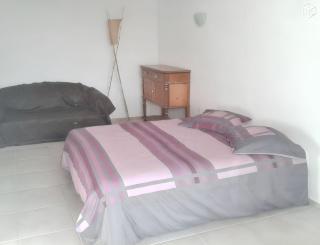 Maison charmante avec piscine privée à Orthoux-Sérignac-Quilhan - 1