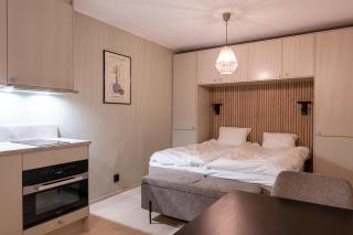 Tott-Exclusive Studio - Åre - 5