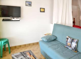 Studio cocooning à Saint Anne / 27 m² / jardin fleuri - Sainte-Anne - 4
